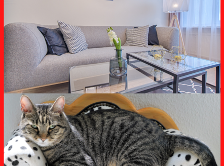 lotus Furnitures sofa