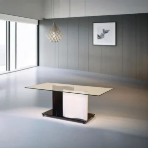 CT-298-1_20240731_192758951