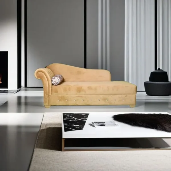 Josh_20240731_2244103