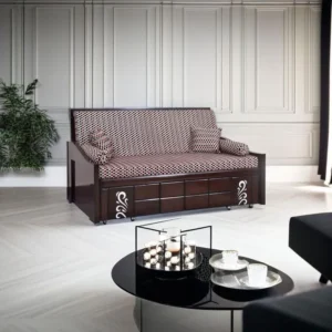 Sofa Cum Bed Monobond_20240731_224421268