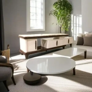 TV-135_20240731_172922980_7_11zon